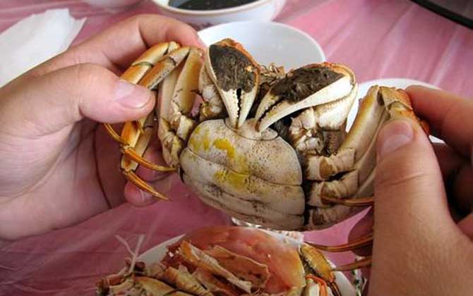 感冒能吃螃蟹吗？